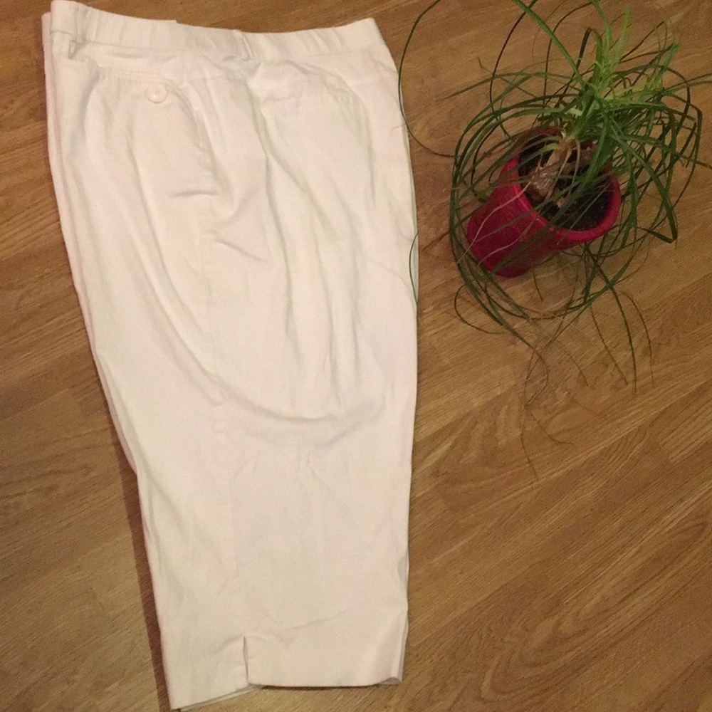Cato capris